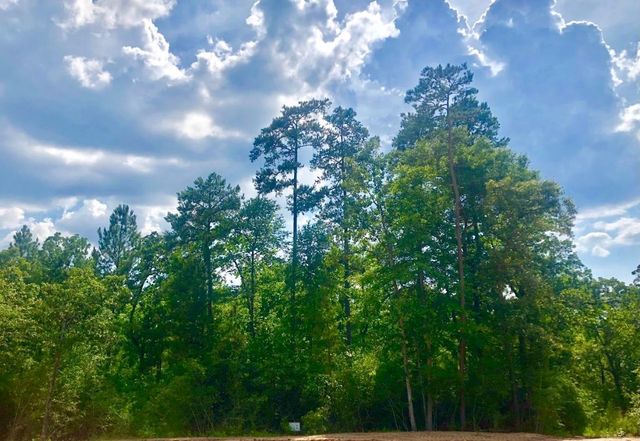 4b-6-223 Red Hawk Road, Huntsville, TX 77340