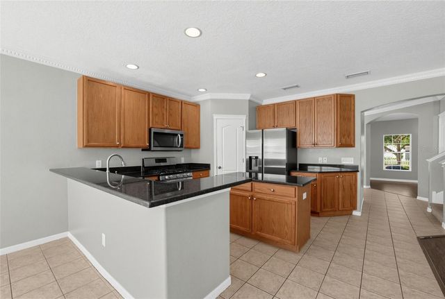 16234 BRIDGEWALK DRIVE, Lithia, FL 33547