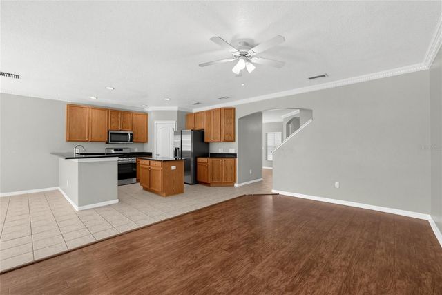 16234 BRIDGEWALK DRIVE, Lithia, FL 33547
