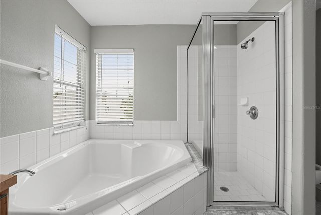 16234 BRIDGEWALK DRIVE, Lithia, FL 33547