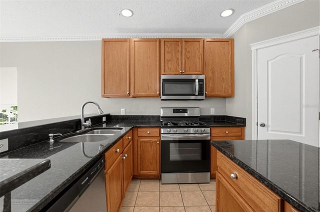 16234 BRIDGEWALK DRIVE, Lithia, FL 33547