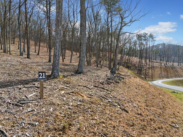 Lot 21 High Summit Drive, Talking Rock, GA 30175