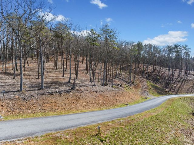 Lot 21 High Summit Drive, Talking Rock, GA 30175