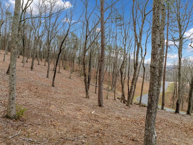 Lot 21 High Summit Drive, Talking Rock, GA 30175