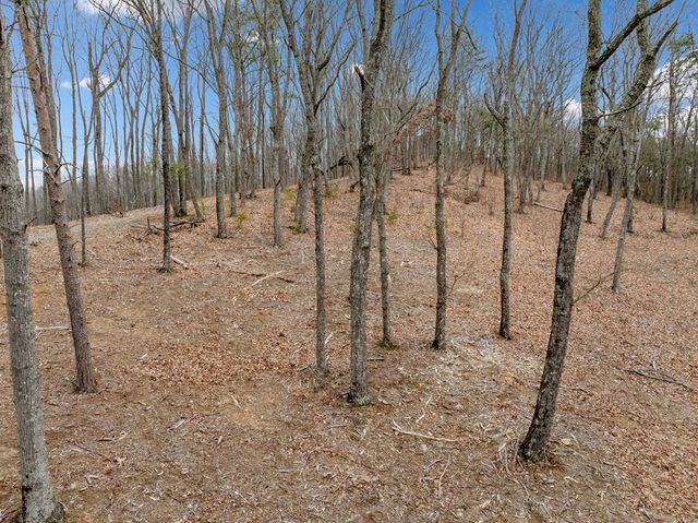 Lot 21 High Summit Drive, Talking Rock, GA 30175