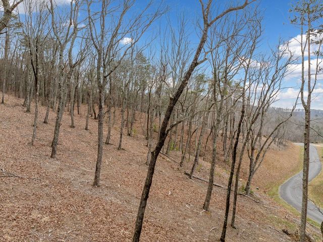 Lot 21 High Summit Drive, Talking Rock, GA 30175