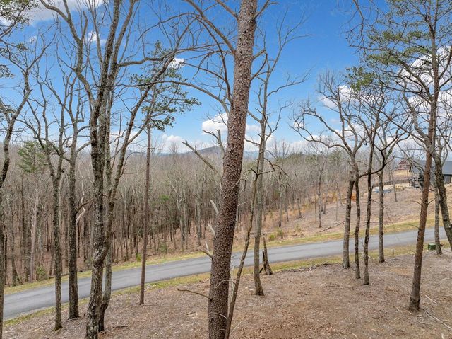 Lot 21 High Summit Drive, Talking Rock, GA 30175