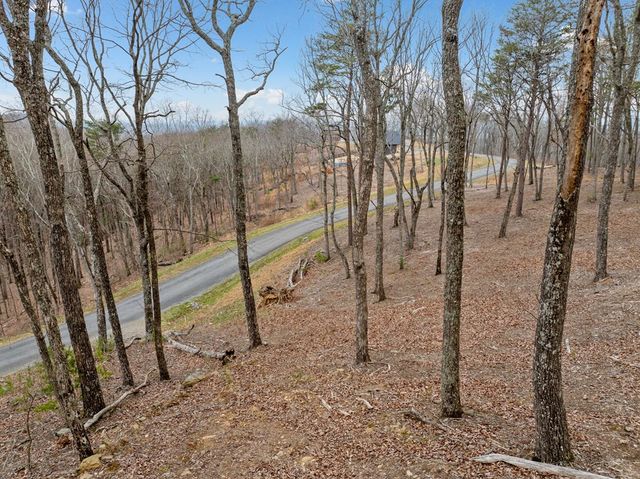 Lot 21 High Summit Drive, Talking Rock, GA 30175