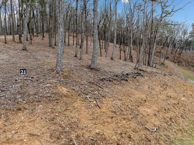 Lot 21 High Summit Drive, Talking Rock, GA 30175