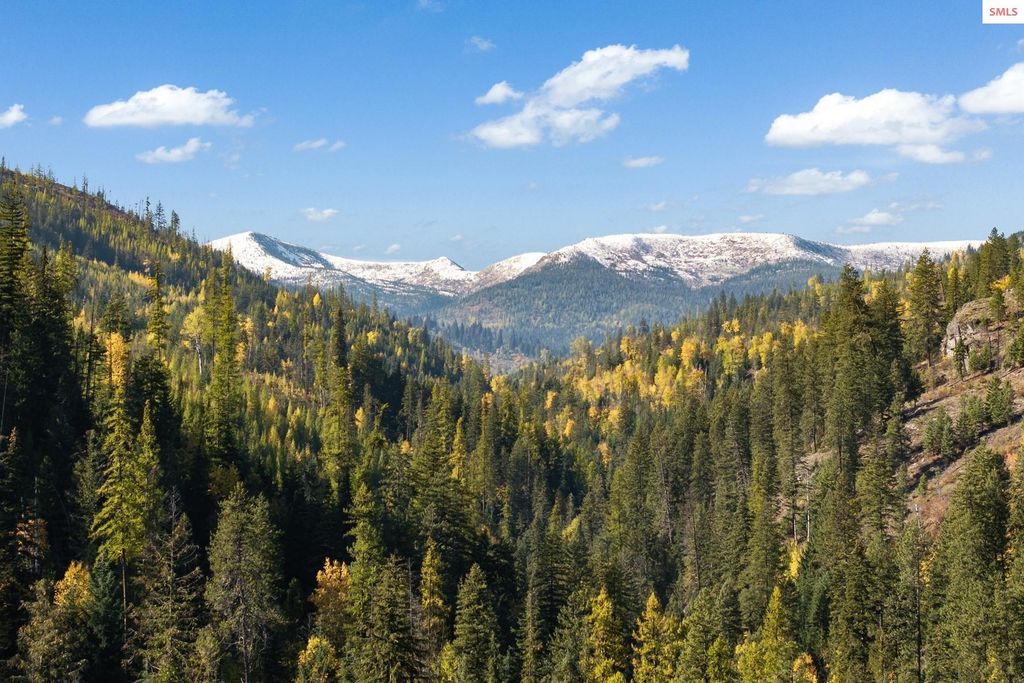 6684 Upper Pack River Rd, Sandpoint, ID 83864 photo 3