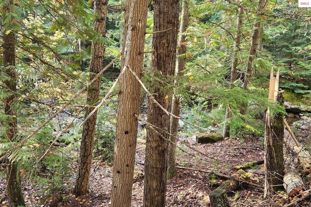 6684 Upper Pack River Rd, Sandpoint, ID 83864 photo 43