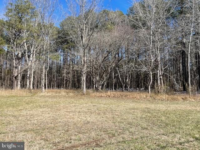 PARCEL 24 OCEAN HWY, Westover, MD 21871