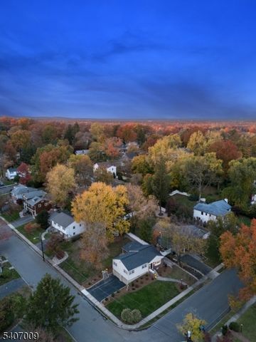 26 Pihlman Pl, Chatham Boro, NJ 07928