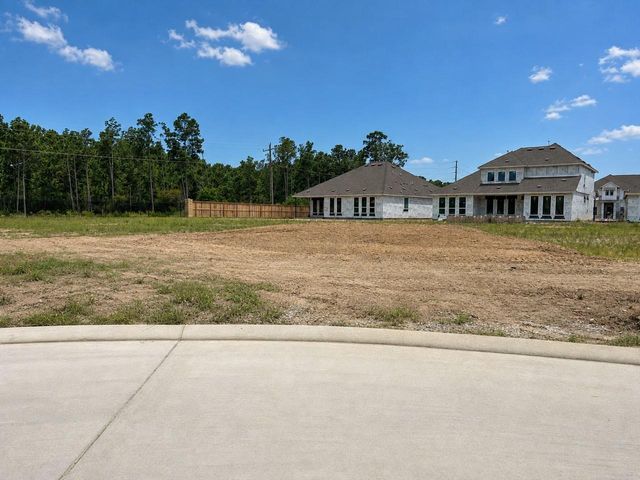 23024 Pearl Lakes Court, Porter, TX 77365
