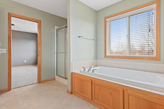 13894 Birchwood Avenue, Rosemount, MN 55068