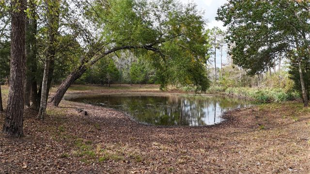 190 Andrea Lane, Coldspring, TX 77331