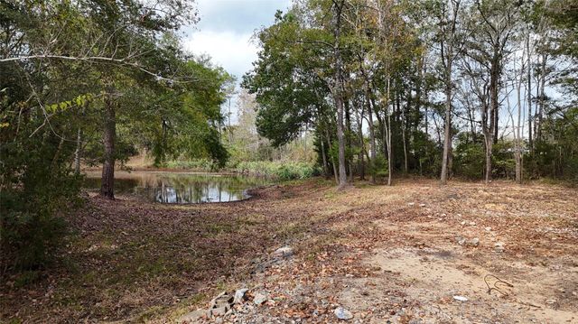 190 Andrea Lane, Coldspring, TX 77331