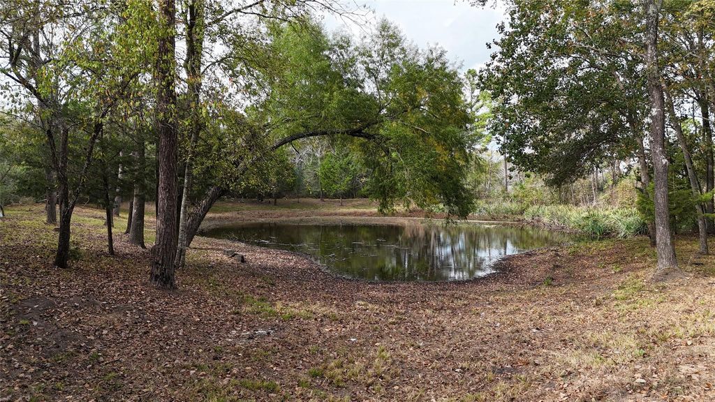 190 Andrea Lane, Coldspring, TX 77331