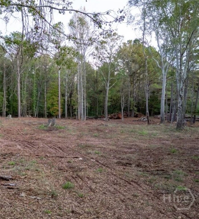 0 Seven Islands Road, Madison, GA 30650