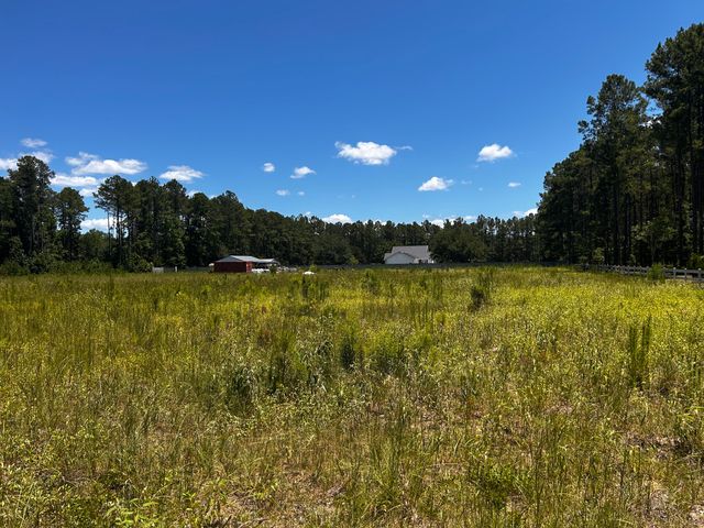 0 Cane Branch Road, Walterboro, SC 29488