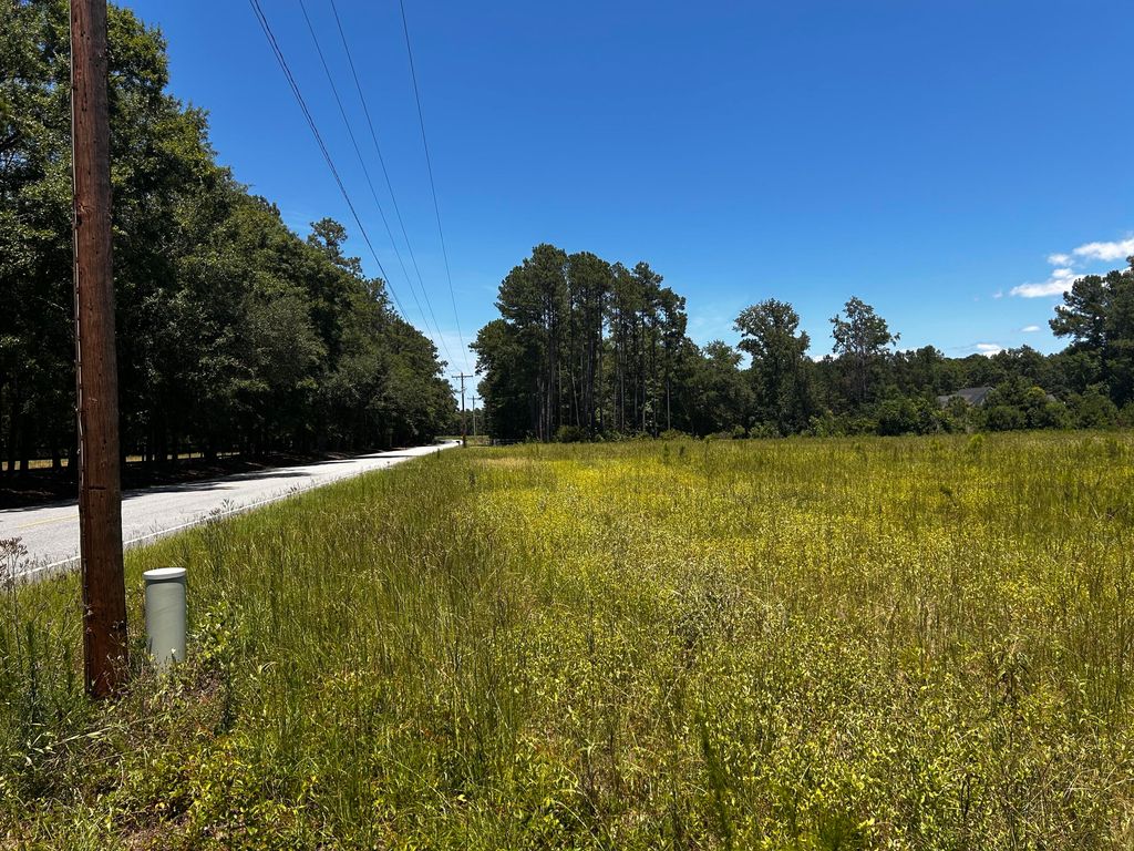 0 Cane Branch Road, Walterboro, SC 29488