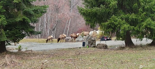 351 McKee Lane, Cle Elum, WA 98922