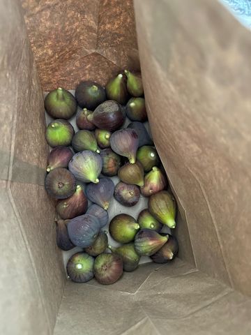 9752 Tareyton Ave, San Ramon, CA 94583