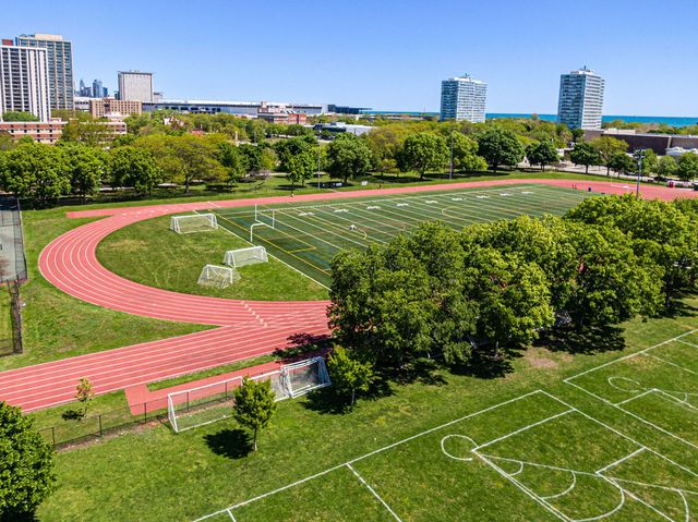 3001 S Michigan Avenue 1006, Chicago, IL 60616