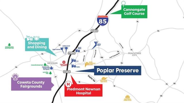 197 Lauritsen Way, Newnan, GA 30265