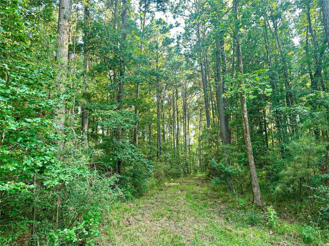 3247 Old Berring Rd, Moscow, TX 75960