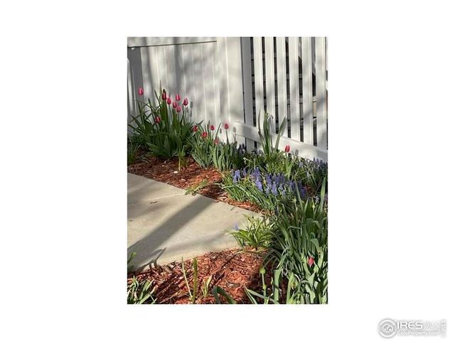 700 Beauprez Ave, Lafayette, CO 80026