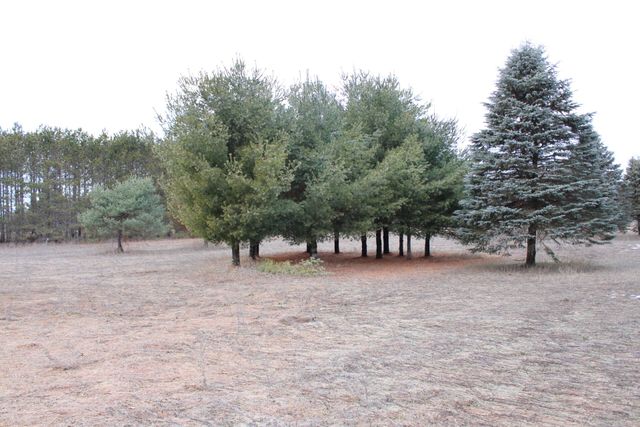 8422 E M 20, Newfield Twp, MI 49421