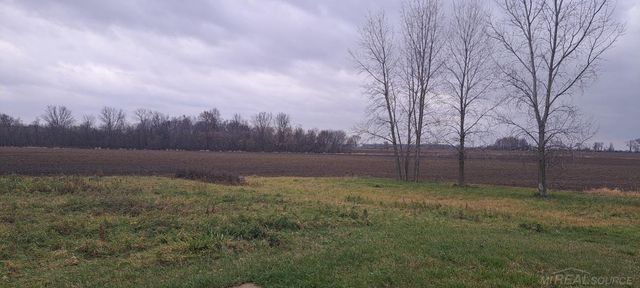 1399 Deckerville Road, Snover, MI 48472