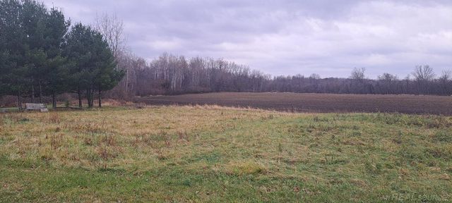 1399 Deckerville Road, Snover, MI 48472