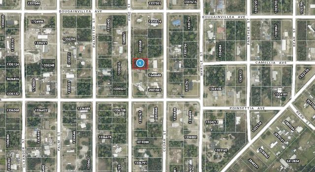 14-17-28-0200-009-01400 PINE STREET, Paisley, FL 32767