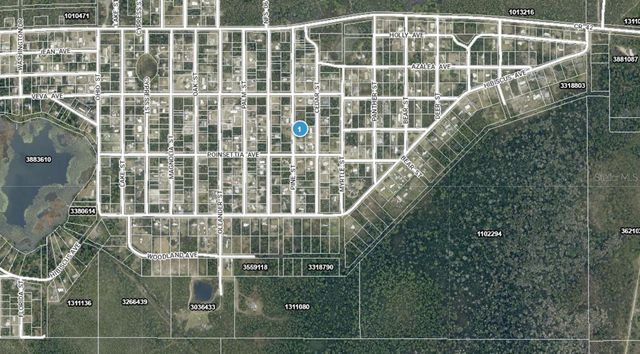 14-17-28-0200-009-01400 PINE STREET, Paisley, FL 32767