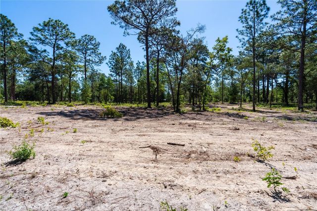12691 SE 80TH STREET, Morriston, FL 32668