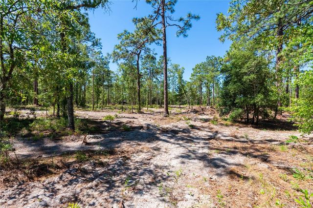 12691 SE 80TH STREET, Morriston, FL 32668