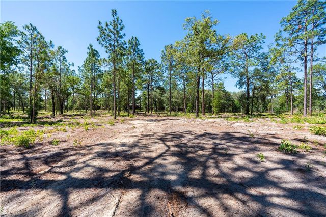 12691 SE 80TH STREET, Morriston, FL 32668