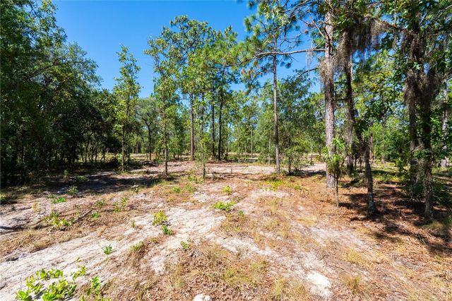 12691 SE 80TH STREET, Morriston, FL 32668