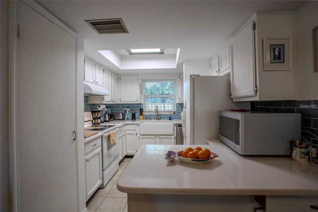 110 N TREMAIN STREET 110, Mount Dora, FL 32757