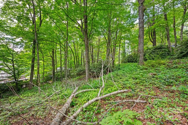 140 Pine View Road 43, Newland, NC 28657