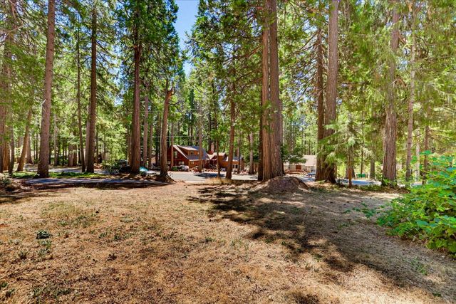 13382 Red Dog Rd, Nevada City, CA 95959