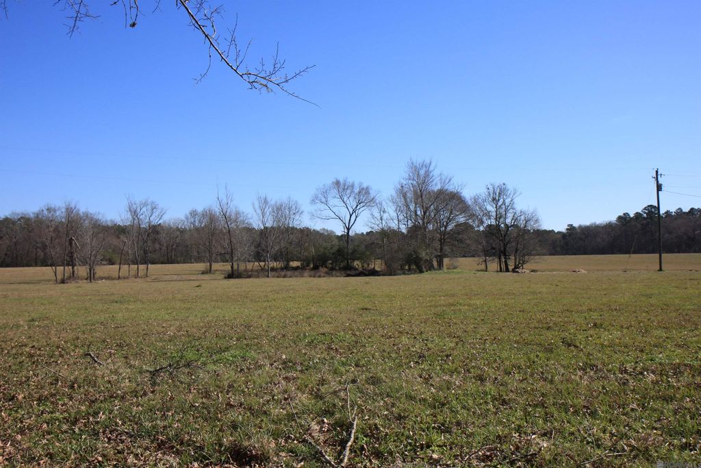 TBD Lot 3 La Hwy 958, Slaughter, LA 70777