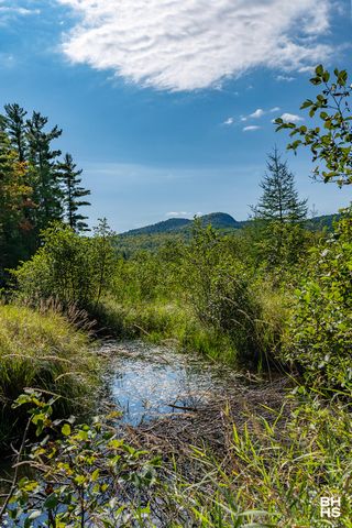 484 Hardy Road, Wilmington, NY 12997