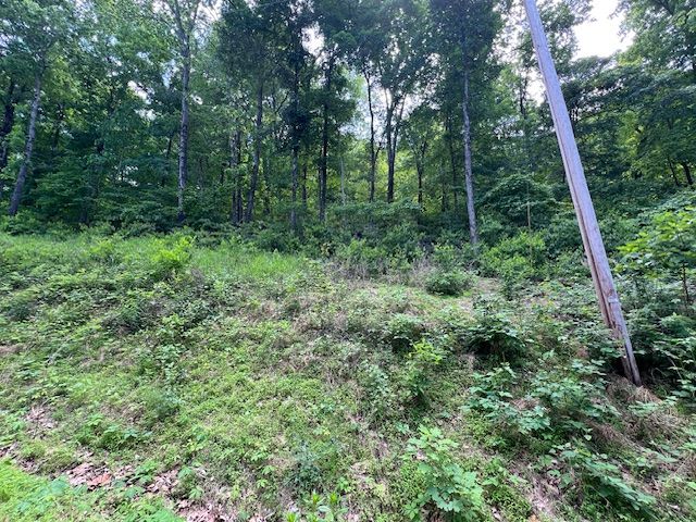 6 Wildcat Drive, Holiday Island, AR 72631