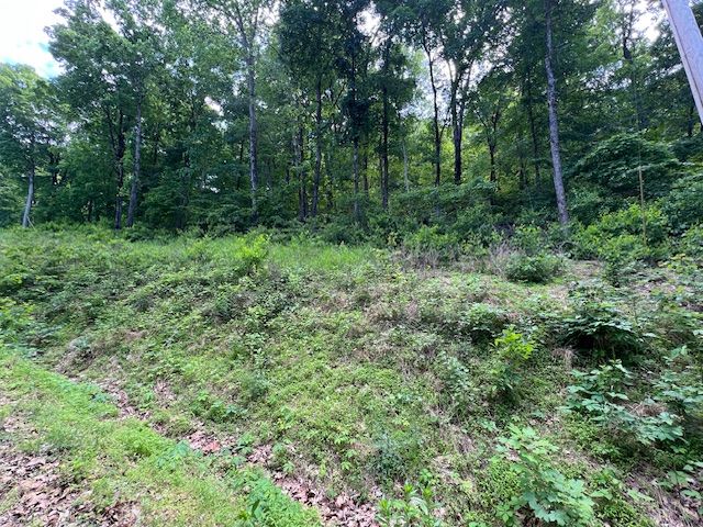 6 Wildcat Drive, Holiday Island, AR 72631