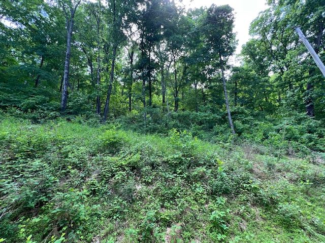 6 Wildcat Drive, Holiday Island, AR 72631