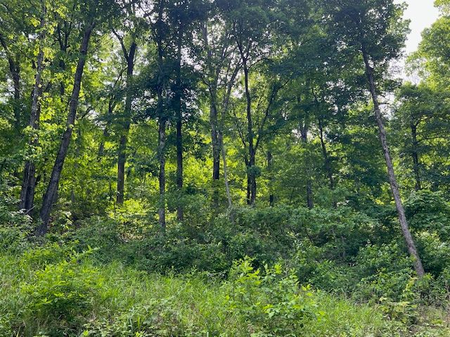 6 Wildcat Drive, Holiday Island, AR 72631