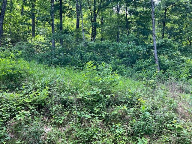 6 Wildcat Drive, Holiday Island, AR 72631